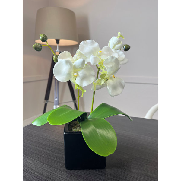 The Seasonal Aisle Artificial Orchid Plant in Pot Wayfair.co.uk